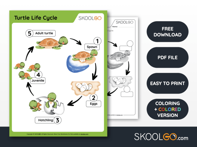 free printable science worksheets skoolgo