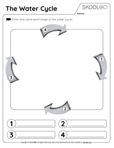 The Water Cycle - Free Worksheet - SKOOLGO